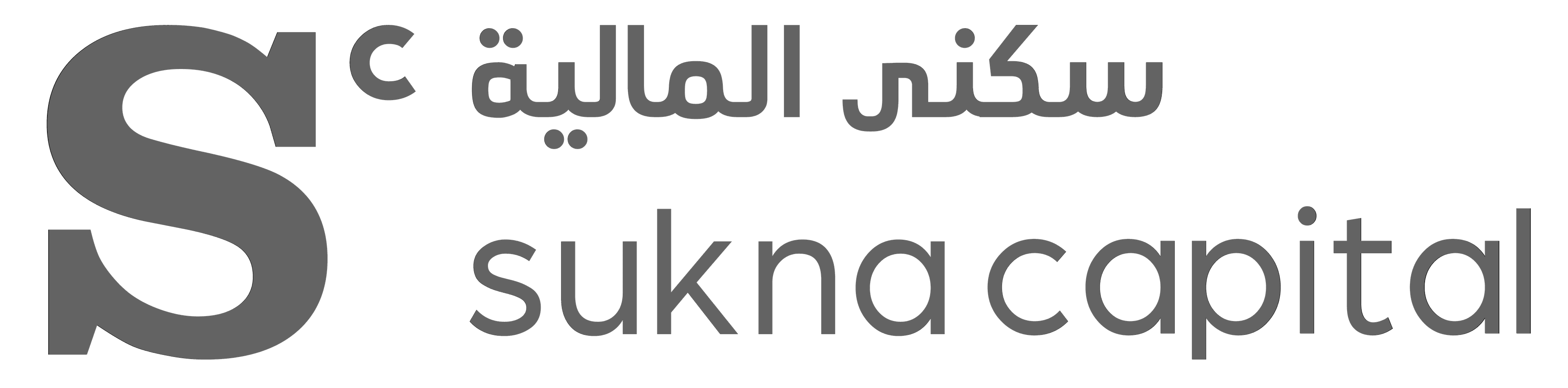 شركة سكنى المالية