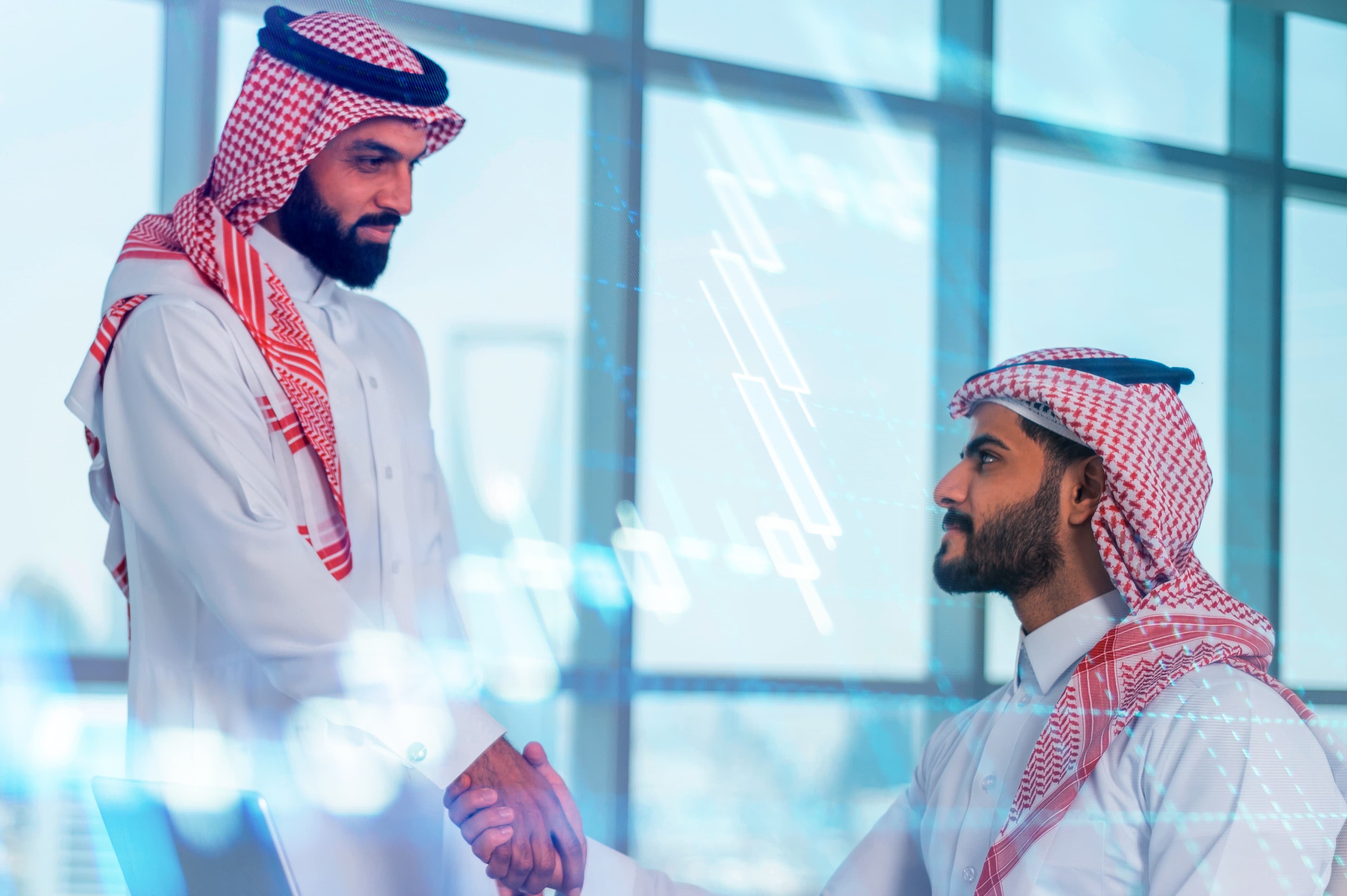 برنامج التمويل المشترك